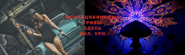спиды Абдулино