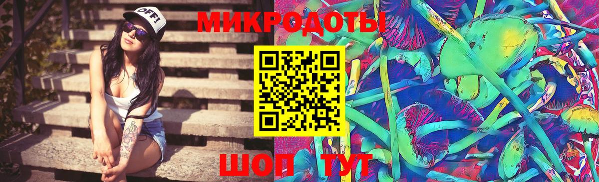 Псилоцибиновые грибы Усолье-Сибирское