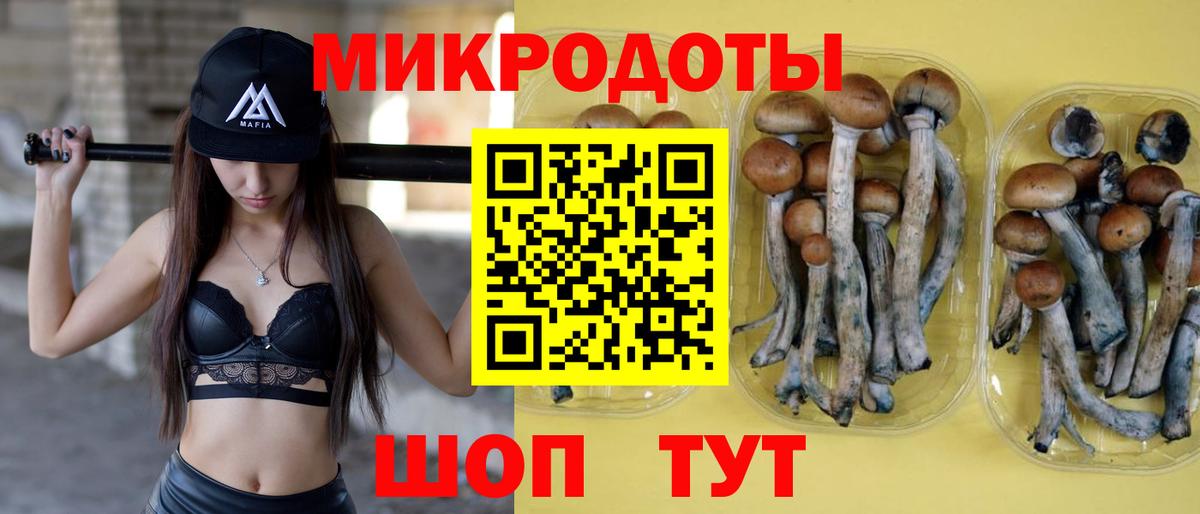 Псилоцибиновые грибы Psilocybe  Псилоцибиновые грибы Psilocybine cubensis  Вход с VPN  Усолье-Сибирское 